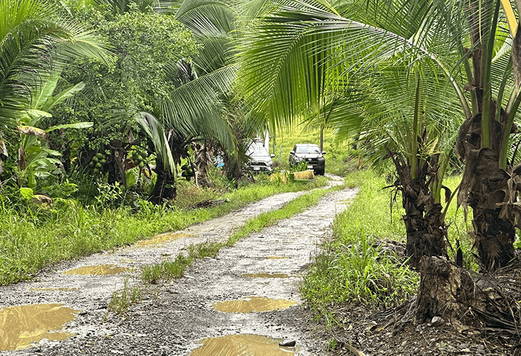 OIJ allana casa en Guácimo y encuentra restos de perros enterrados