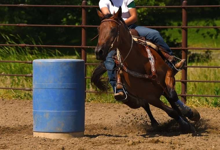 Toros Teletica realizará este viernes rifas para campeonatos de monta y barriles