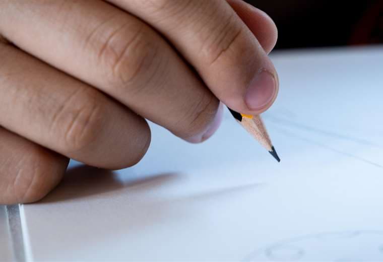Plataforma educativa permitirá “ensayar” para exámenes de admisión a universidades