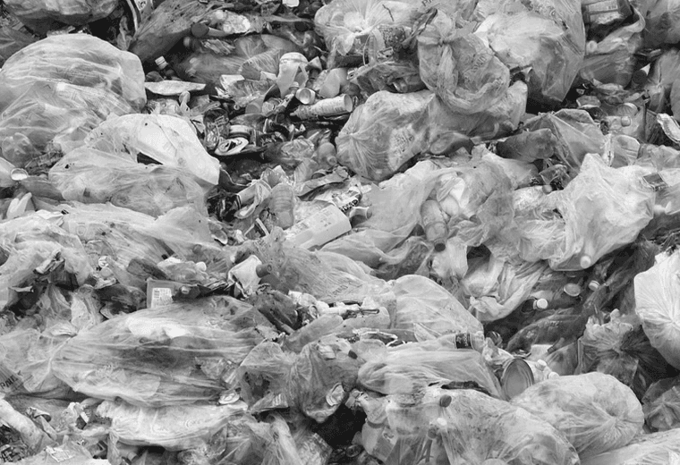 Vecinos claman por ayuda para cerrar botadero a cielo abierto que tiene años operando en Pavas