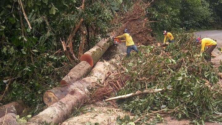Ruta 32 permanecerá cerrada todo este viernes