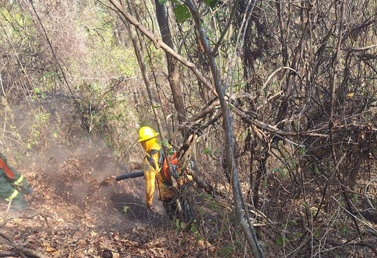 26 bomberos intentan frenar incendio forestal en Isla Venado