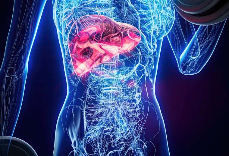 Casos de cáncer de páncreas aumentaron 30% durante últimos seis años en Costa Rica