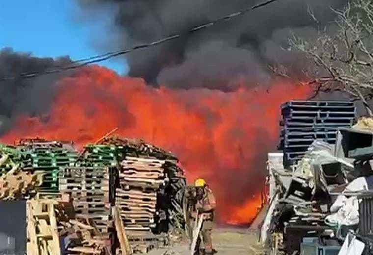 Video: Bomberos luchan contra incendio en bodega de reciclaje en Alajuela