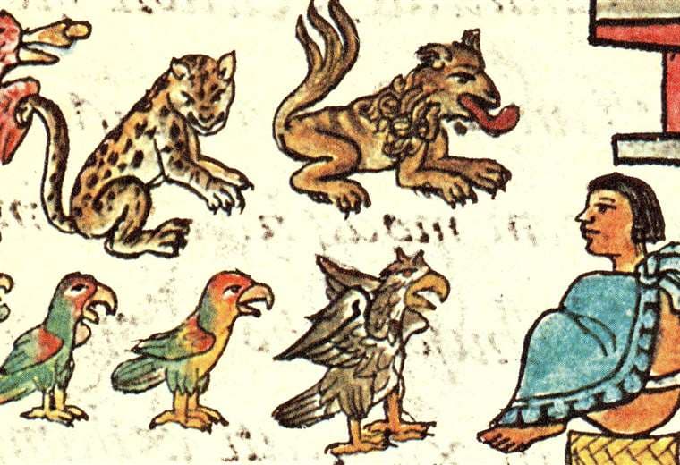 Cómo era el zoológico de Moctezuma que asombró a españoles hace 500 años y hoy se empieza a conocer