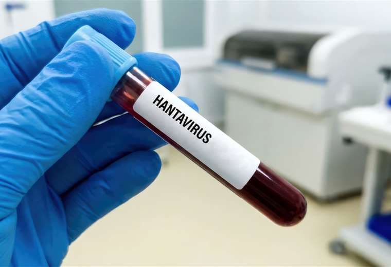 OMS confirma cinco casos de hantavirus
