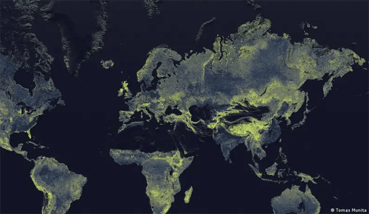 Científicos descubren red de hongos mil millones de veces más larga que distancia Tierra-Sol