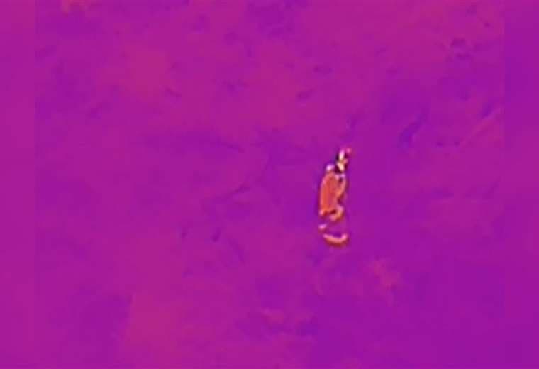 Video: Cámara térmica detectó jaguar acechando zona donde niño estaba extraviado