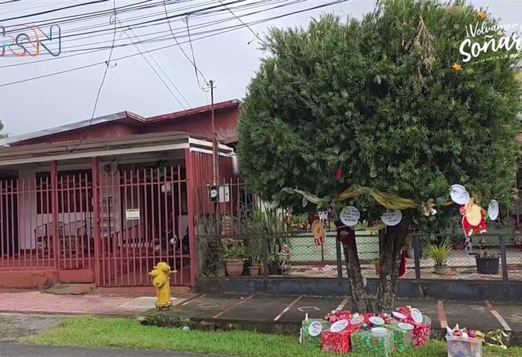 Todo el que pasa por la acera se detiene a ver este árbol en Navidad
