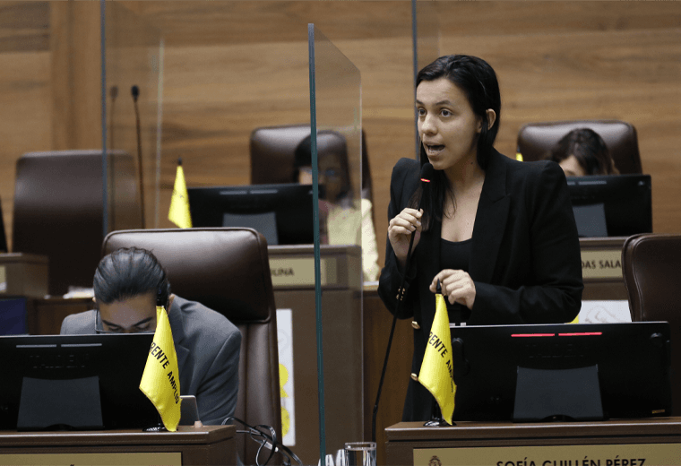 ¿Por qué llegó Sofía Guillén al Plenario pese a estar en licencia de maternidad?