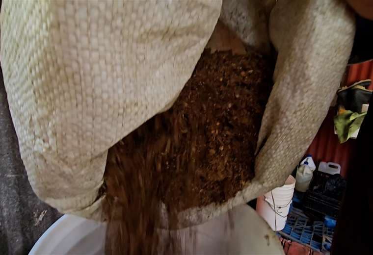 De los micrófonos al campo: Diana Vásquez se apunta a cosechar esfuerzo en Fraijanes