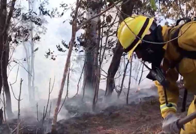 Inicia temporada de incendios forestales: autoridades piden extremar precauciones