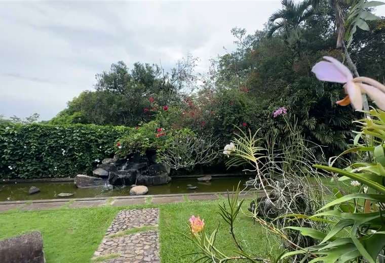 El rincón verde de La Garita que nació donde antes hubo café