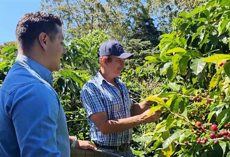 ¡Del micrófono al cafetal! Johnny López se apunta al trabajo del campo