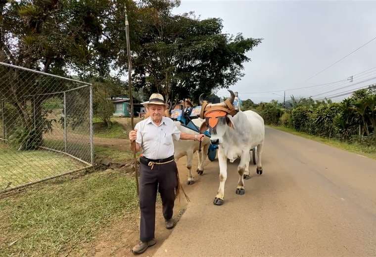 El boyero que sobrevivió a un rayo será el gran homenajeado de las fiestas en San Ramón