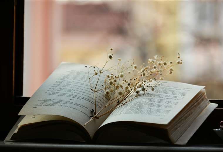 Marzo se llena de versos: Museo de Cultura Popular celebra el Mes de la Poesía