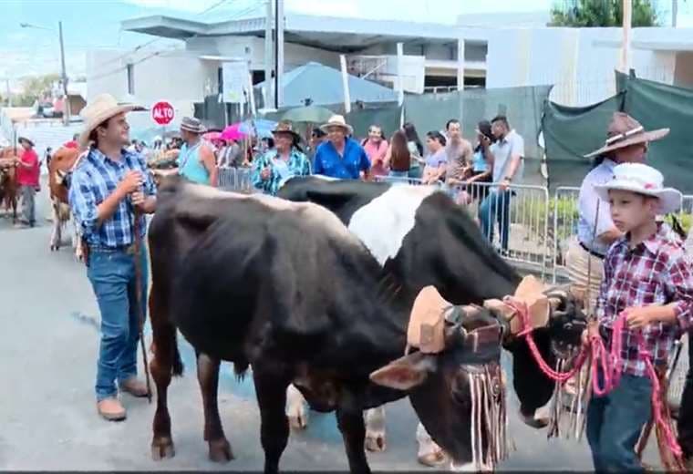 Boyeros desfilaron este domingo en Escazú