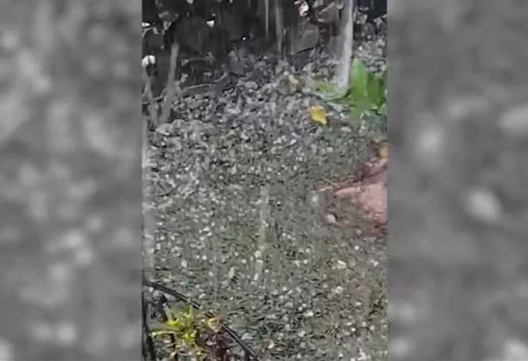 Video: Granizo y fuertes aguaceros sorprenden a vecinos en Tacares de Grecia