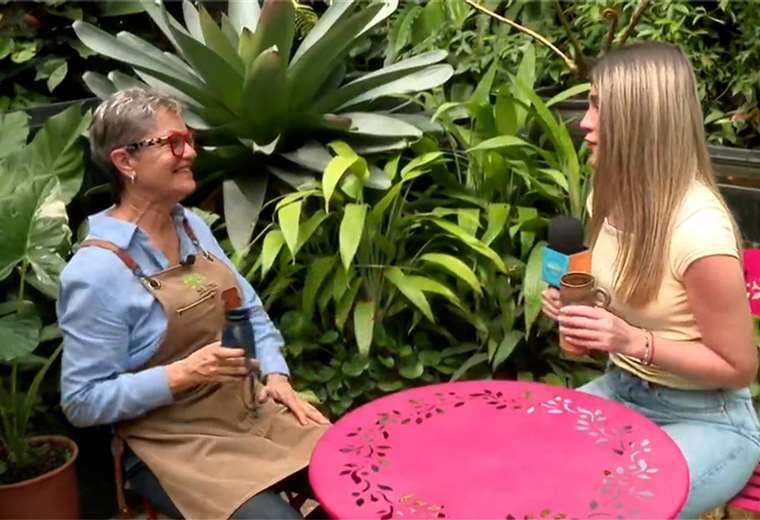 Las plantas de hojas grandes que están conquistando jardines y hogares