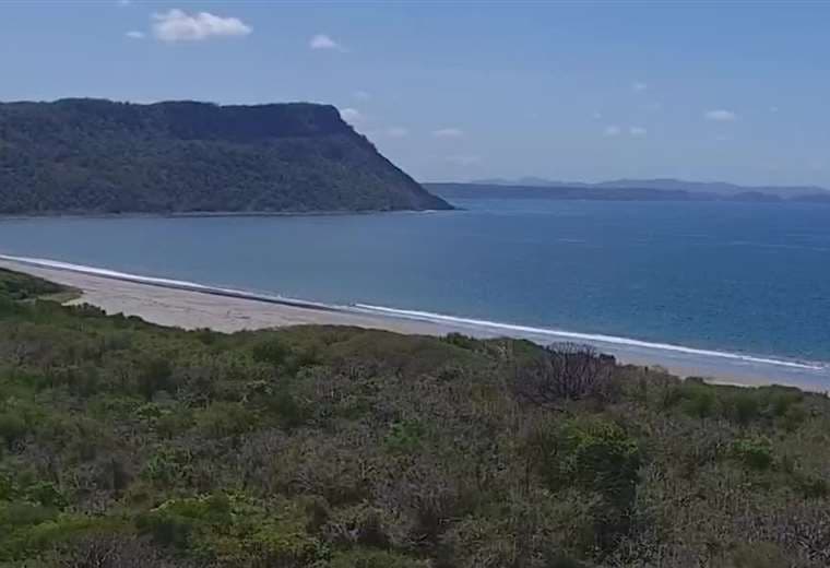 Fiscalía solicita suspender permiso para tala de 751 árboles en proyecto turístico de Papagayo