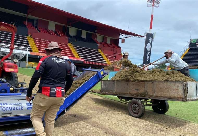 Alajuelense trabajos en la gramilla